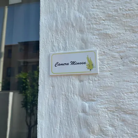 Garden House - Near Bus Stop To Beaches & Airport Couette-café Olbia